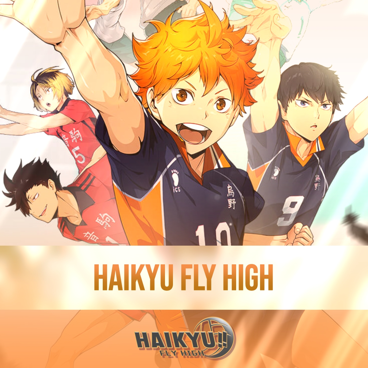Haikyu Fly High
